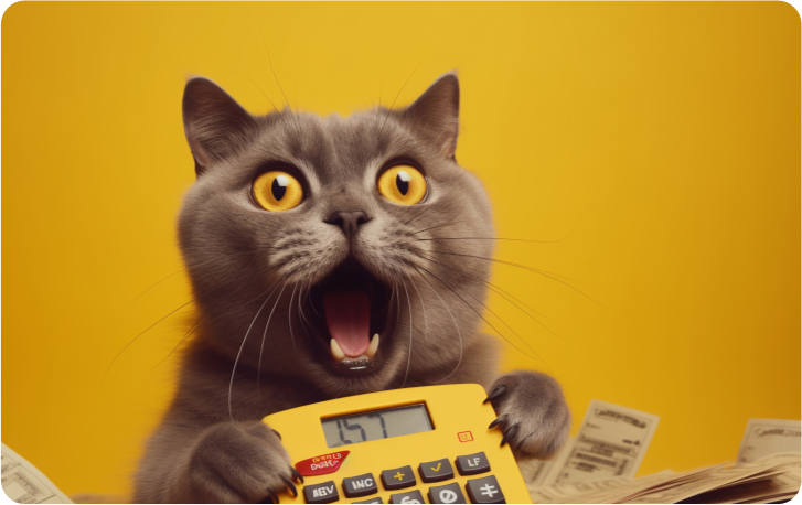 Payment Shock Cat