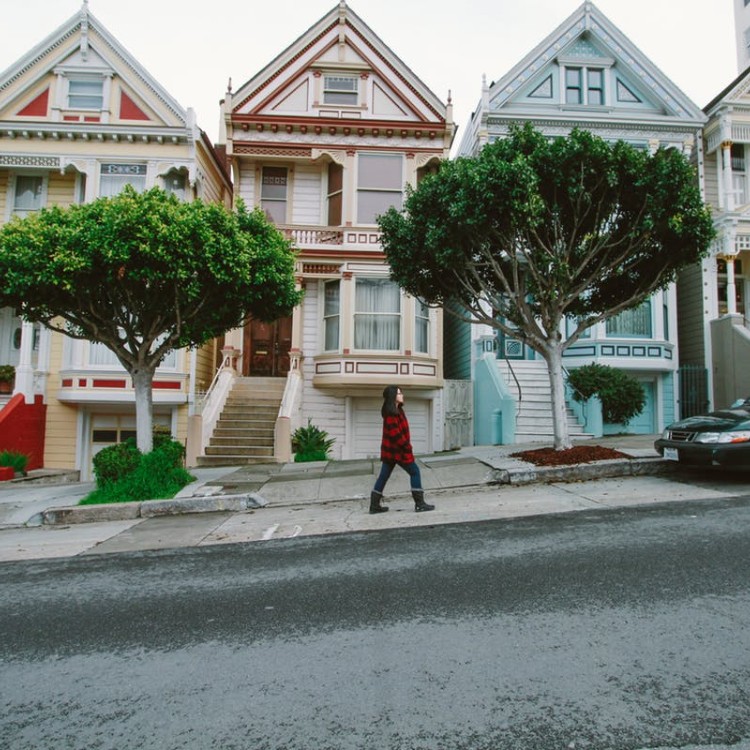 painted-ladies