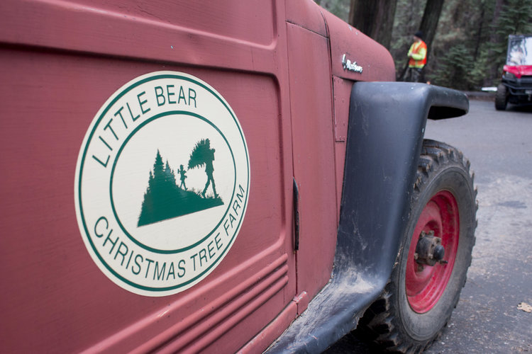 Little+Bear+Truck+Sign